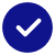 check-icon